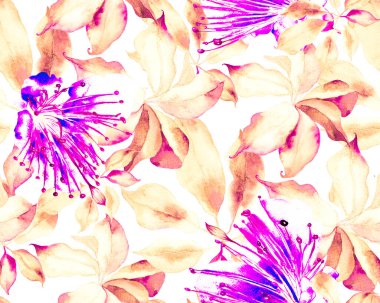 Schefflera Arboricola Kusursuz Düzen. Kırmızı botanik suluboya baskısı. Evergreen Variegated Walisongo Bitkisi ve Egzotik Çiçekler. Schefflera Aktinophylla Hayata Tekrarlanan Süs