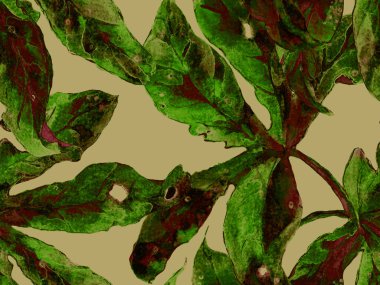 Bold Floral Print. Yeşil Arkaplanda Büyük Hawaii Kusursuz Parmak izi. Büyük Hawaii Yaz Kova Tutkusu Meyvesi Sonsuz Arkaplan. Moda Kalın Çiçek Yazdırma.