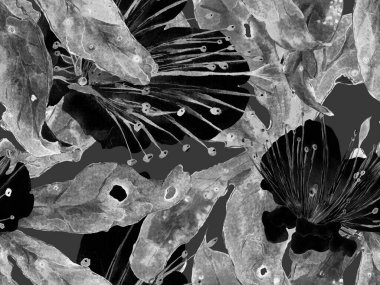 Kalın Çiçek deseni. Siyah ve Beyaz Arkaplanda Büyük Egzotik Kusursuz Parmak izi. Büyük Egzotik Bahar Maracuja Sonsuz Arkaplanı. Modern Kalın Çiçek Deseni.