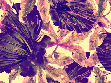 Kalın Çiçek deseni. Kızıl Arkaplanda Büyük Egzotik Kusursuz Parmak izi. Büyük Tropik Yaz Kova 'sı Maracuya Sonsuz Arkaplanı. Modern Kalın Çiçek Deseni.