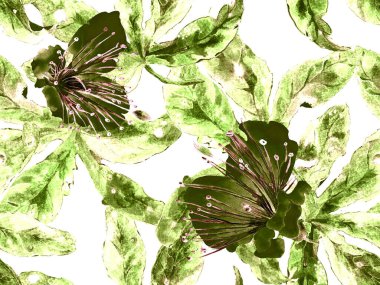 Kalın Çiçek deseni. Yeşil Arkaplanda Büyük Tropikal Kusursuz Parmak izi. Büyük Egzotik Yaz Sulu Tutku Meyvesi Sonsuz Arkaplan. Modern Kalın Çiçek Deseni.