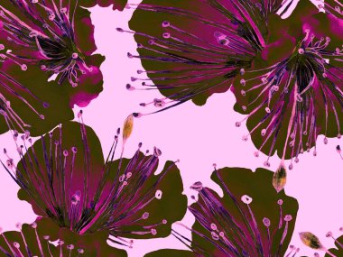 Kalın Çiçek deseni. Kızıl Arkaplanda Büyük Orman Kusursuz Parmak İzi. Büyük Egzotik Yaz Aquarelle Maracuja Sonsuz Arkaplan. Kalın Çiçek Tasarımı.