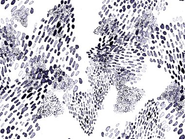 Siyah ve Beyaz Hayvani Kusursuz Şablon. Suluboya el izi. Afrika egzotik kamuflajı. Geometrik suluboya arka plan. Vahşi hayvan kürkü dokusu. Suluboya El Boyalı Cilt Deseni.