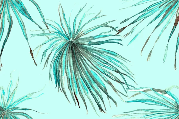 Palm Leaves Fun Texture 약자이다 Horizontal Tropic Design 스윙웨어 바다없는 — 스톡 사진