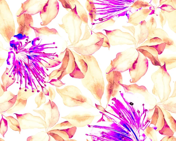 Schefflera Arboricola Kusursuz Düzen. Kırmızı botanik suluboya baskısı. Evergreen Variegated Walisongo Bitkisi ve Egzotik Çiçekler. Schefflera Aktinophylla Hayata Tekrarlanan Süs