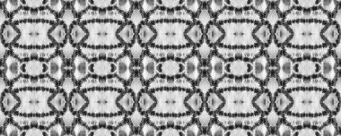 Etnik Kusursuz Düzen. Yılan Derisi Rastgele Doku. Siyah ve Beyaz Dikdörtgen İkat Uyumluluğu. Suluboya Etnik Tasarım. Boya fırçası Python arka planı. Sembol Geometrik Mayo Şablonu.