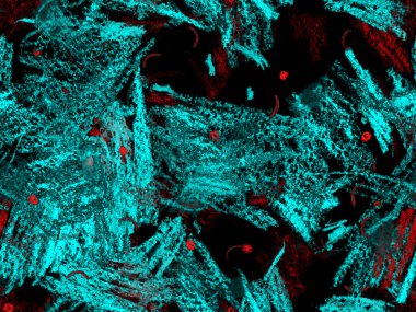 Soyut Başlık Deseni. Şirin Büyük Yaratıcı Geometrik Mavide Kusursuz Desen Yatay Şablon İndigo Arkaplanı. Büyük Moda Asgari Baskı. Sanatsal Başlık Deseni.