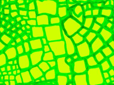 El çizimi timsah deseni. Yeşil ve Aqua Menthe Afrika Deri İllüstrasyonu. Yırtıcı Hayvan Derisi İzi. Ejderha Derisi Taklidi. Timsah Kapanış Arkaplanı. Timsah Kusursuz Desen.