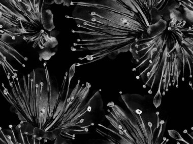 Bold Floral Print. Siyah ve Beyaz Arkaplanda Büyük Tropikal Kusursuz Baskı. Büyük Hawaii Yaz Sulu Granadilla Sonsuz Arkaplan. Moda Kalın Çiçek Yazdırma.