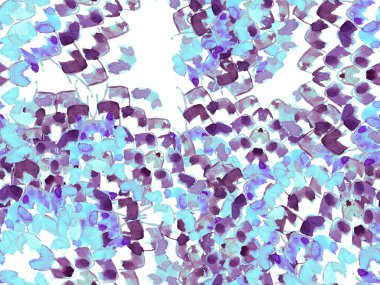 Pembe, Kırmızı Yılan Kusursuz Şablon. Suluboya El Çizilmiş Piton Yazısı. Kobra Derisi Egzotik Doku. Geometrik Yılan Arkaplanı. Zehir ve Yılan derisi. Suluboya El Boyalı Döşeme Deseni.