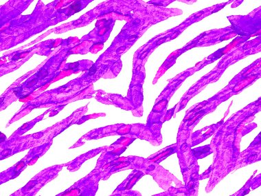 Geometrik hayvan dokusu. Afrika deseni. Çizgili, kusursuz desen. Zebra Deri İzi. Hayvan kamuflajı arka planı. Suluboya Kamuflaj Tasarımı. Soyut Safari fayansı. Proton Mor