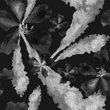 Tropikal desen. Suluboya egzotik çiçekler ve canavar yaprakları. Palm ve Hibiscus ormanları pürüzsüz. Bahar Hawaii suluboya geçmişi. Tropik palmiyeler, canavarlar, çiçek desenleri..