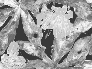 Kalın Çiçek deseni. Siyah ve Beyaz Arkaplanda Büyük Tropikal Kusursuz Parmak izi. Koca Orman Bahar Kova Arzusu Tutku Meyvesi Sonsuz Arkaplan. Modern Kalın Çiçek Deseni.