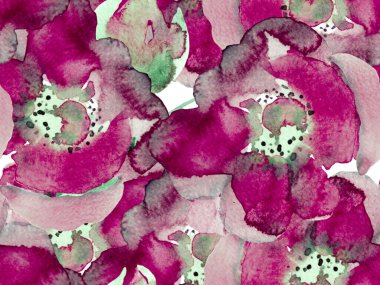 Yaz Çiçeği Arkaplanı. Botanik Çiçek İllüstrasyonu. Suluboya Güller, Şakayık ve Yapraksız Kalıp. Klasik Peonie Eco Rapport. Egzotik Mayo Tasarımı. Hawaii Kova Yazdırma.