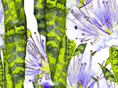 Yaz Çiçeği Arkaplanı. Botanik Ormanı Çizimi. Egzotik Mayo Tasarımı. Hawaii Kova Parmak izi. Yeşil Menthe ve Sarı Vintage Eco Rapport. Suluboya Tertemiz Desen 'i Bırakıyor.