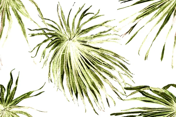 Palm Leaves Fun Texture 약자이다 Horizontal Tropic Design 스윙웨어 리스그린 — 스톡 사진