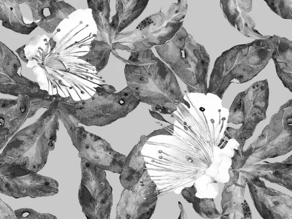 Kalın Çiçekler. Siyah ve Beyaz Arkaplanda Büyük Tropikal Kusursuz Baskı. Büyük Tropikal Yaz Suluboya Tutku Meyvesi Sonsuz Arkaplan. Soyut Kalın Çiçek Yazdırma. 