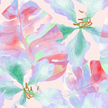 Egzotik desen. Suluboya tropik çiçekler ve canavar yaprakları. Palm ve Hibiscus ormanları pürüzsüz. Yaz Hawaii suluboya geçmişi. Avuç içleri, canavarlar, mayo izleri..