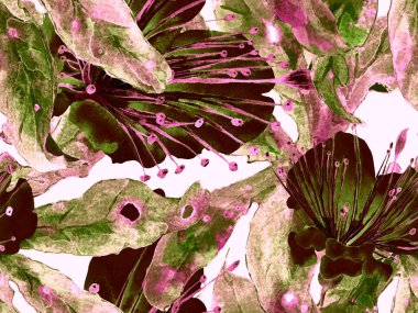 Cesur soyut çiçek deseni. Kahverengi Arkaplanda Büyük Ormansız Parmak izi, Kara Arkaplan. Koca Orman Yaz Kova Lilikoi Sonsuz Arkaplan. Modern Kalın Soyut Çiçek Deseni.