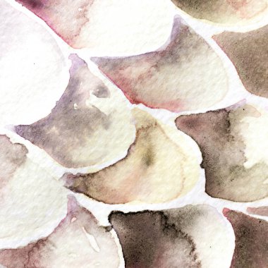 Gri ve Bej Yılan Tasarımı. Suluboya El Çizilmiş Piton Yazısı. Kobra Derisi Egzotik Doku. Geometrik Yılan Arkaplanı. Zehir ve Yılan derisi. Suluboya El Boyalı Arkaplan.