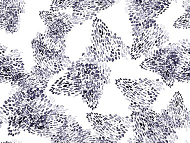 Siyah ve Beyaz Hayvani Kusursuz Şablon. Suluboya el izi. Afrika egzotik kamuflajı. Geometrik suluboya arka plan. Vahşi hayvan kürkü dokusu. Suluboya El Boyalı Cilt Deseni.