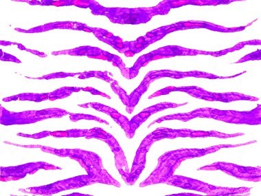 Geometrik hayvan dokusu. Suluboya Kamuflaj Tasarımı. Soyut Safari fayansı. Zebra Deri İzi. Hayvan kamuflajı arka planı. Proton Mor Afrika deseni. Çizgili Kusursuz Desen.