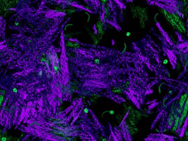 Yaratıcı Boya Başlığı. Şirin, Büyük, Modern, Kusursuz Mavi Şablon, Yatay Şablon İndigo Arkaplanı. Büyük Sanatsal Asgari Baskı. Soyut Boya Başlığı.