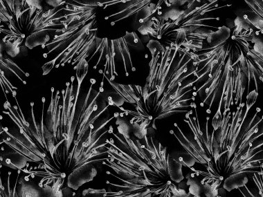 Kalın Çiçek deseni. Siyah ve Beyaz Arkaplanda Büyük Hawaii Kusursuz Yazısı. Büyük Hawaii Yaz Suluboya Granadilla Sonsuz Arkaplan. Modern Kalın Çiçek Deseni.