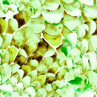 Bilge Yeşil Yılan Kusursuz Şablon. Suluboya El Çizilmiş Piton Yazısı. Kobra Derisi Egzotik Doku. Geometrik Yılan Arkaplanı. Zehir ve Yılan derisi. Suluboya El Boyalı Döşeme Deseni.