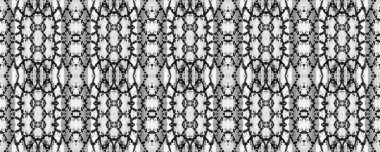 Siyah ve Beyaz Etnik Kusursuz Düzen. Suluboya Etnik Tasarım. Boya fırçası Python arka planı. Sembol geometrik mayo deseni. Eğlenceli Dikdörtgen İkat Uyumu. Yılan Derisi Rastgele Doku.