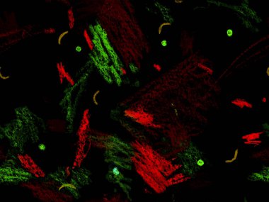 Soyut Başlık Deseni. Kırmızı Üzerine Sevimli Büyük Moda Geometrik Kusursuz Desen, Yatay Şablon İçin Pembe Arkaplan. Büyük Moda Asgari Baskı. Sanatsal Başlık Deseni.