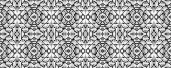 Eğlenceli Dikdörtgen İkat Uyumu. Etnik Kusursuz Düzen. Siyah ve Beyaz Suluboya Etnik Tasarım. Boya fırçası Python arka planı. Sembol geometrik mayo deseni. Yılan Derisi Rastgele Doku.