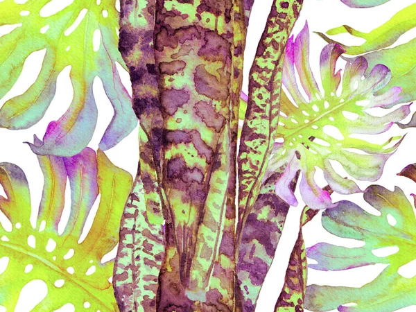 Aqua Menthe ve Proton Mor Suluboya Tertemiz Kalıp 'ı terk ediyor. Egzotik Mayo Tasarımı. Hawaii Kova Parmak izi. Yaz Çiçeği Arkaplanı. Botanik Ormanı Çizimi. Vintage Eko Uyumu. 