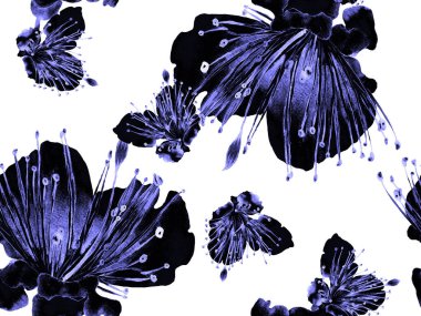 Cesur Çiçek Tasarımı. Siyah ve Beyaz Arkaplanda Büyük Hawaii Kusursuz Parmak izi. Büyük Hawaii Bahar Sulu Granadilla Sonsuz Arkaplan. Sanatsal Kalın Çiçek Tasarımı.