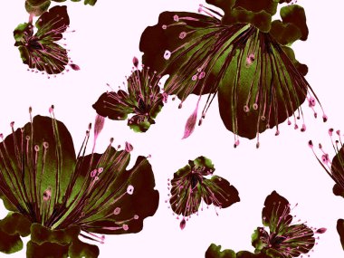 Bold Floral Print. Yeşil Arkaplanda Büyük Egzotik Kusursuz Parmak izi. Büyük Hawaii Baharı Sulu Boyalı Lilikoi Sonsuz Geçmişi. Moda Kalın Çiçek Yazdırma.