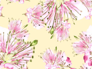 Kalın Çiçekler. Pembe ve Sarı Arkaplanda Büyük Ormansız Parmak İzi. Büyük Hawaii Baharı Maracuja Sonsuz Arkaplanı. Soyut Kalın Çiçek Yazdırma. 