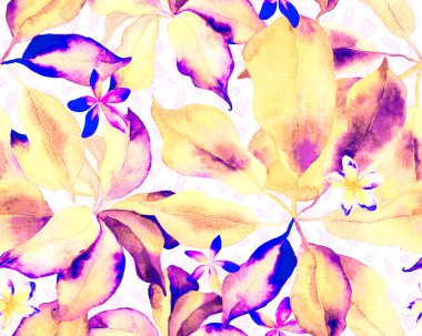 Schefflera Arboricola Kusursuz Düzen. Botanik Suluboya Yazdırma. Schefflera Aktinophylla Hayata Tekrarlanan Süs Yeşil ve Teal Evergreen Egzotik Çiçekli Walisongo Bitkisi.