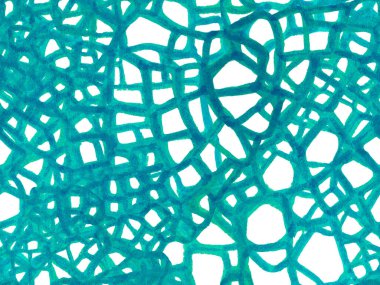 El çizimi timsah deseni. Yeşil ve Aqua Menthe timsah desensiz. Timsah Kapanış Arkaplanı. Afrika Deri Çizimi. Yırtıcı Hayvan Derisi İzi. Ejder Derisi Taklidi.