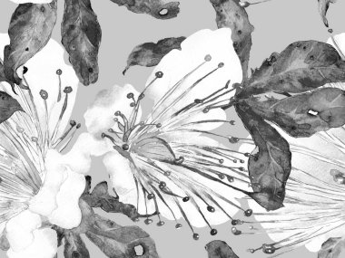 Cesur Çiçek Tasarımı. Siyah ve Beyaz Arkaplanda Büyük Hawaii Kusursuz Parmak izi. Büyük Hawaii Baharı Maracuja Sonsuz Arkaplanı. Sanatsal Kalın Çiçek Tasarımı.