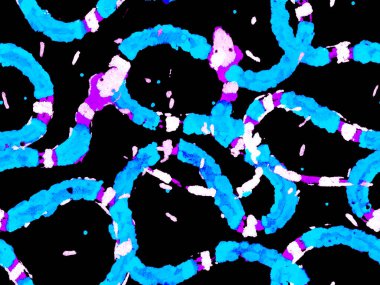 Aspid Pürüzsüz Düzen. Afrika Safari Deri Çizimi. Klasik Mavi ve İndigo El Çizgili Asma Örnekleri. Yılan Derisi Parmak izi. Zehirli Ejder Taklidi. Elapidae Kapanış Arkaplanı.