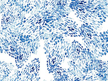 Kızıl Leopar Kusursuz Şablon. Suluboya El Çita Yazısı. Vahşi Cilt Egzotik Doku. Geometrik Kürk arka planı. Leopar ve Jaguar Deri. Suluboya El Boyalı Cilt Deseni.