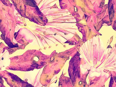 Kalın Çiçek deseni. Kızıl Arkaplanda Büyük Hawaii Kusursuz Parmak izi. Büyük Hawaii Yaz Aquarelle Granadilla Sonsuz Arkaplan. Kalın Çiçek Tasarımı.