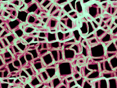 Monokrom ve Greyscale Hand çizilmiş timsah deseni. Timsah Kusursuz Şablon. Timsah Kapanış Arkaplanı. Afrika Deri Çizimi. Yırtıcı Hayvan Derisi İzi. Ejder Derisi Taklidi.