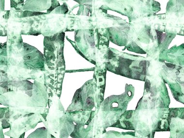 Suluboya kusursuz desen bırakır. Yaz Çiçeği Arkaplanı. Botanik Ormanı Çizimi. Egzotik Mayo Tasarımı. Hawaii Kova Parmak izi. Green ve Aqua Menthe Vintage Eko Uyum. 