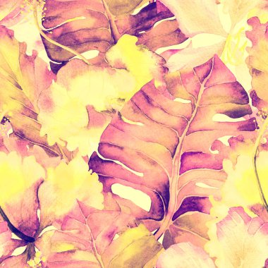 Yaz döngüsü. Suluboya tropik çiçekler ve canavar yaprakları. Palm ve Hibiscus ormanları pürüzsüz. Bahar Hawaii suluboya geçmişi. Avuç içleri, canavarlar, mayo izleri..