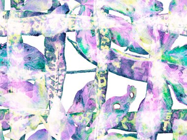 Suluboya kusursuz desen bırakır. Egzotik Mayo Tasarımı. Hawaii Kova Parmak izi. Yaz Çiçeği Arkaplanı. Botanik Ormanı Çizimi. Aqua Menthe ve Proton Mor Vintage Eko Uyum. 