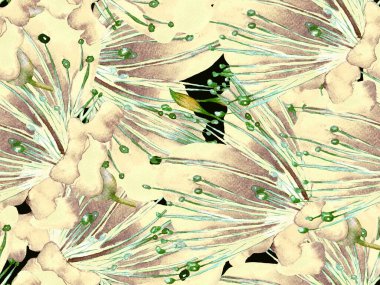 Kalın Çiçekler. Siyah ve Beyaz Arkaplanda Büyük Egzotik Kusursuz Parmak izi. Büyük Egzotik Bahar Suluboya Lilikoi Sonsuz Geçmişi. Soyut Kalın Çiçek Yazdırma. 