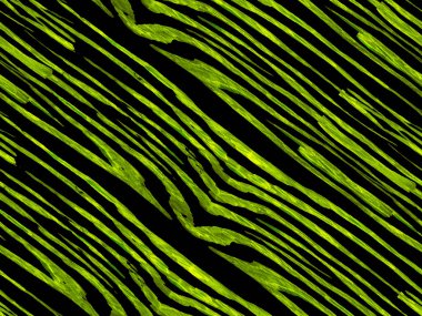 Geometrik hayvan dokusu. Yeşil ve Aqua Menthe Zebra Cilt İzi. Hayvan kamuflajı arka planı. Afrika deseni. Çizgili, kusursuz desen. Suluboya Kamuflaj Tasarımı. Soyut Safari Döşemesi.