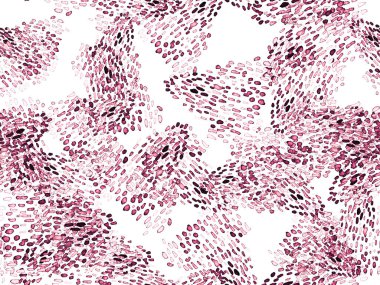 Kızıl Leopar Kusursuz Şablon. Suluboya El Çita Yazısı. Vahşi Cilt Egzotik Doku. Geometrik Kürk arka planı. Leopar ve Jaguar Deri. Suluboya El Boyalı Cilt Deseni.