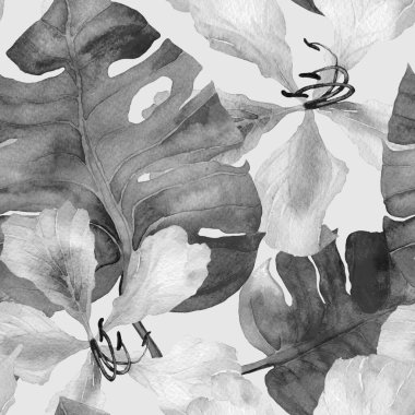 Tropikal desen. Suluboya egzotik çiçekler ve canavar yaprakları. Palm ve Hibiscus ormanları pürüzsüz. Yaz Hawaii suluboya geçmişi. Tropik palmiyeler, canavarlar, çiçek desenleri..